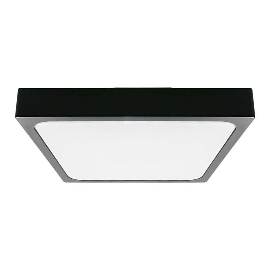 LED taklampa för badrum LED/24W/230V 6500K IP44 29,5x29,5 cm svart