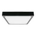 LED taklampa för badrum LED/24W/230V 6500K IP44 svart