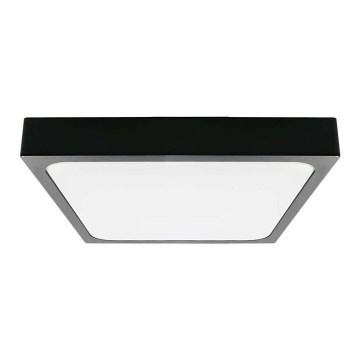 LED taklampa för badrum LED/24W/230V 6500K IP44 svart