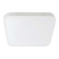 LED taklampa för badrum LED/24W/230V 6500K IP44 vit