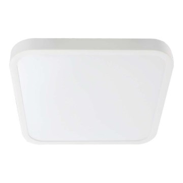 LED taklampa för badrum LED/24W/230V 6500K IP44 vit