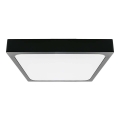 LED taklampa för badrum LED/30W/230V 3000K IP44 svart