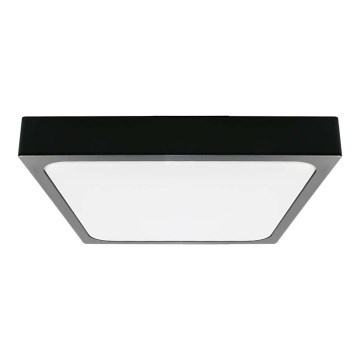LED taklampa för badrum LED/30W/230V 4000K IP44 svart