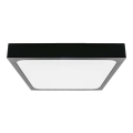 LED taklampa för badrum LED/30W/230V 6500K IP44 svart