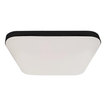 LED taklampa för badrum med en sensor NEMO LED/16W/230V IP44 svart