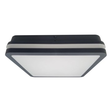 LED taklampa för badrum med sensor ELLÉ LED/24W/230V 3000/4000/6500K 26x26 cm IP54 antracit