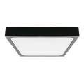 LED taklampa för badrum med sensor LED/18W/230V 4000K IP44 svart
