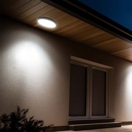 LED taklampa för badrum med sensor LED/18W/230V 4000K IP44 svart + fjärrkontroll