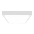 LED taklampa för badrum med sensor LED/24W/230V 4000K IP44 vit