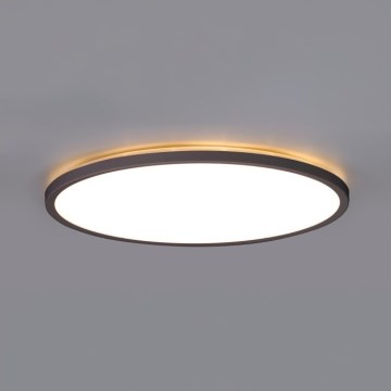 LED taklampa för badrum NIVERA LED/12W/230V IP54 3000/4000/6000K diameter 22,5 cm svart