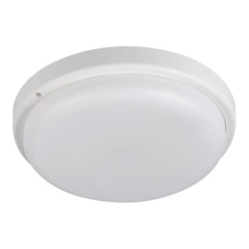 LED taklampa för badrum TOLU LED/18W/230V 4000K IP54 vit