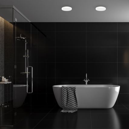 LED taklampa för badrum VERA LED/24W/230V 4000K IP65 vit