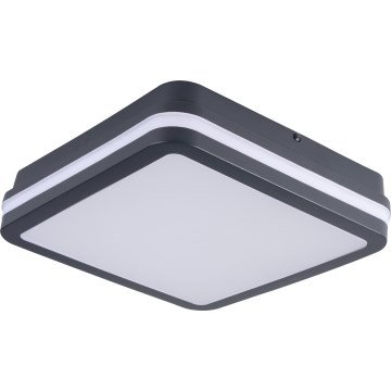 LED taklampa för utomhusbruk BENO LED/12/18W/230V 3000/3500/4000K IP65 antracit vinklat