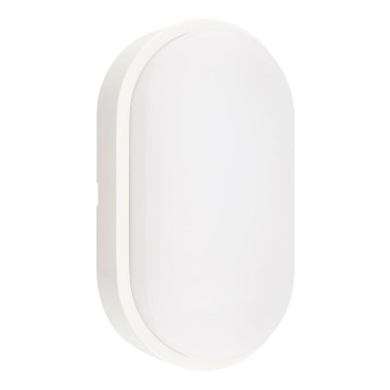 LED taklampa för utomhusbruk LED/12W/230V 3000/4000/6500K IP65 vit