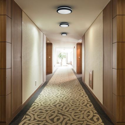 LED taklampa för utomhusbruk MARLON LED/48W/230V 4000K IP54 svart