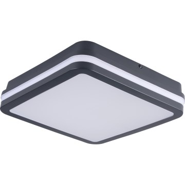 LED taklampa för utomhusbruk med rörelsedetektor BENO LED/24/30W/230V 3000/3500/4000K IP65 antracit vinklat