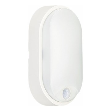 LED taklampa för utomhusbruk med sensor LED/14W/230V IP54 vit