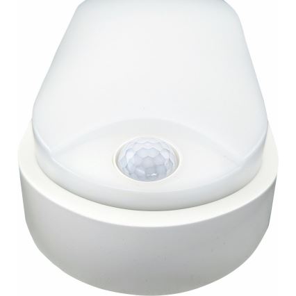 LED taklampa för utomhusbruk med sensor LED/14W/230V IP54 vit