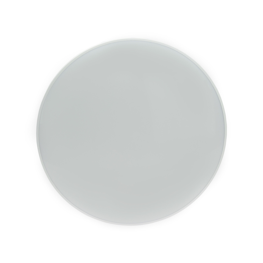 LED taklampa för utomhusbruk NYMPHEA LED/32W/230V IP54 4000K