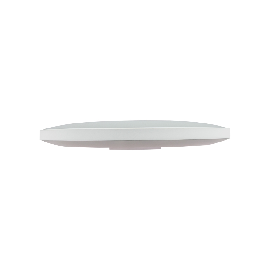 LED taklampa för utomhusbruk NYMPHEA LED/32W/230V IP54 4000K