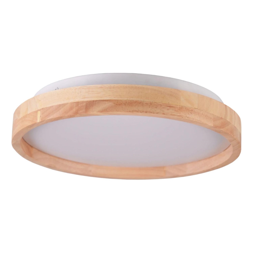 LED taklampa JANUSZ LED/12W/230V diameter 27 cm IP44 ek