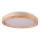 LED taklampa JANUSZ LED/12W/230V diameter 27 cm IP44 ek