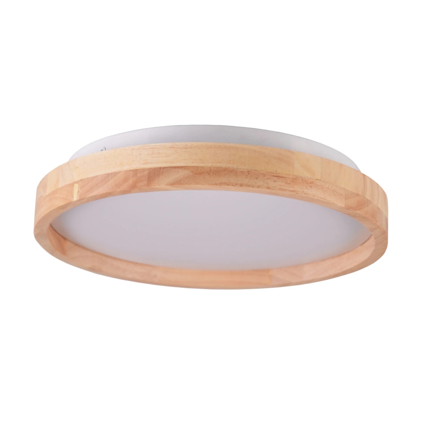 LED taklampa JANUSZ LED/12W/230V diameter 27 cm IP44 ek