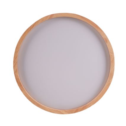 LED taklampa JANUSZ LED/12W/230V diameter 27 cm IP44 ek
