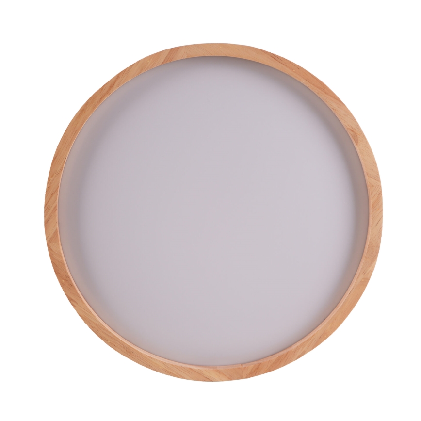 LED taklampa JANUSZ LED/12W/230V diameter 27 cm IP44 ek