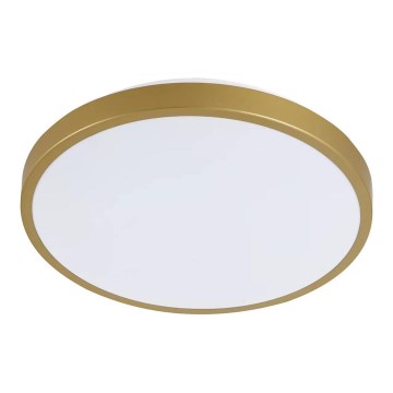 LED taklampa KERN LED/15W/230V diameter  29 cm