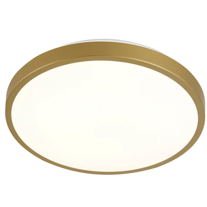 LED taklampa KERN LED/15W/230V diameter  29 cm