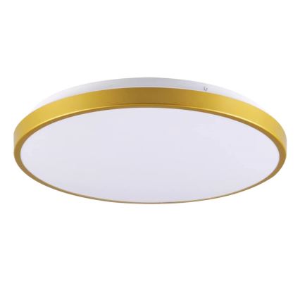 LED taklampa KERN LED/15W/230V diameter  29 cm