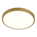LED taklampa KERN LED/24W/230V diameter  39 cm