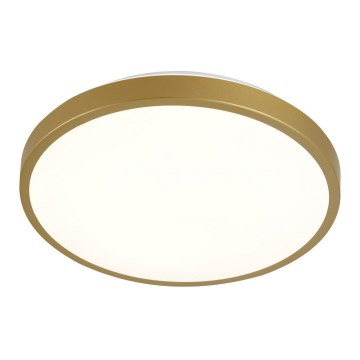 LED taklampa KERN LED/24W/230V diameter  39 cm