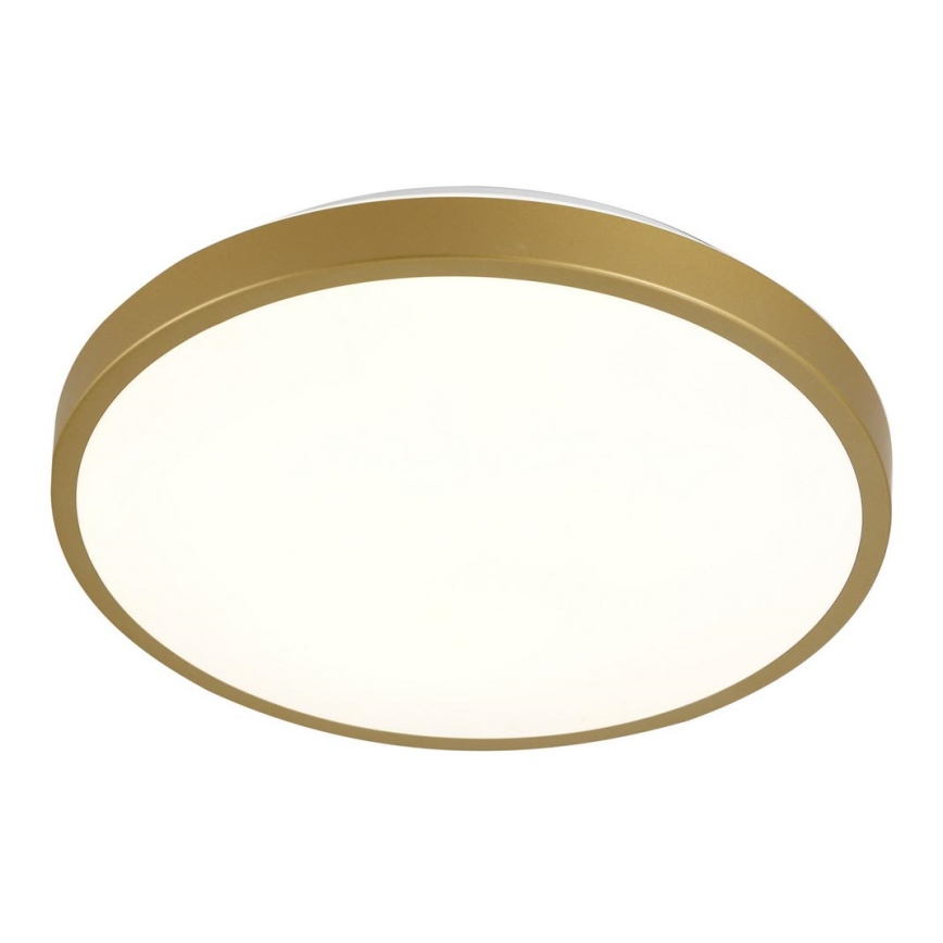 LED taklampa KERN LED/24W/230V diameter  39 cm