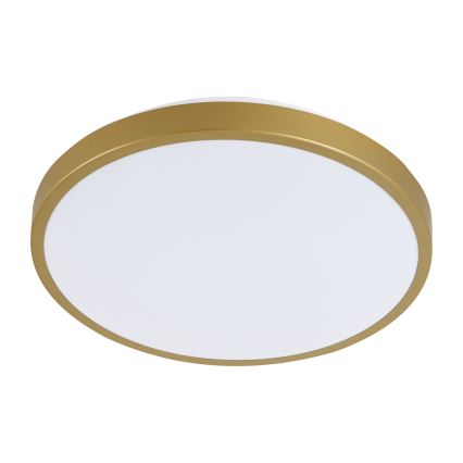 LED taklampa KERN LED/24W/230V diameter  39 cm