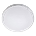 LED taklampa LED/18W/230V diameter 30 cm vit