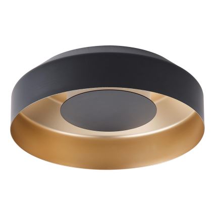 LED taklampa LED/20W/230V 3000K svart