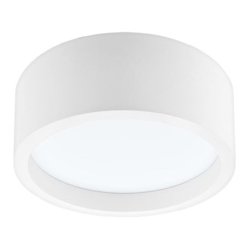 LED taklampa LED/21W/230V tall
