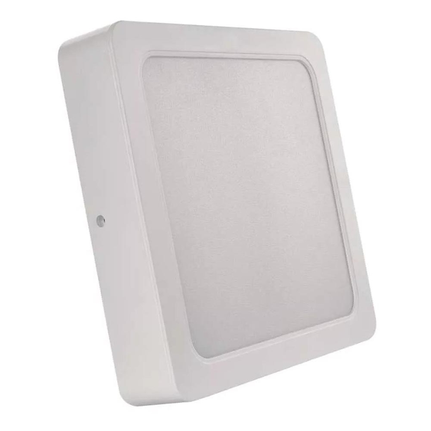 LED taklampa LED/24W/230V 22x22 cm vit