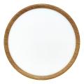 LED taklampa LED/24W/230V 3000/4000/6500K Ø 30 cm beige