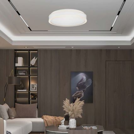 LED taklampa LED/24W/230V 4000K vit