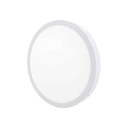 LED taklampa LED/24W/230V 4200K diameter 28,5 cm vit