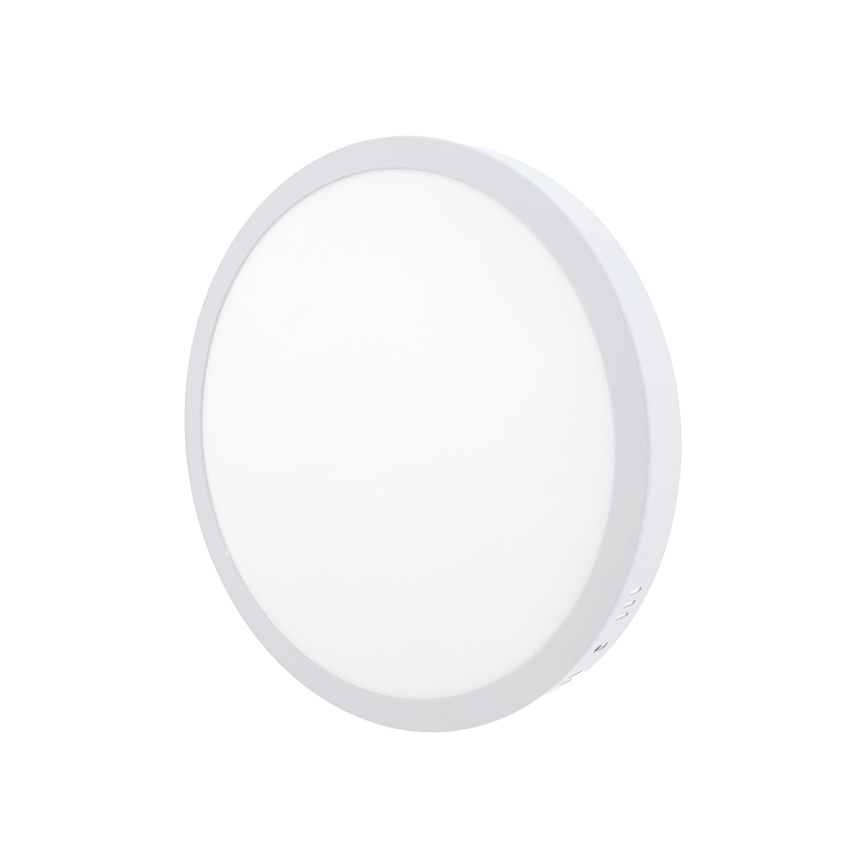 LED taklampa LED/24W/230V 4200K diameter 28,5 cm vit