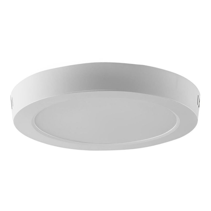 LED taklampa LED/24W/230V 6500K diameter 28,8 cm