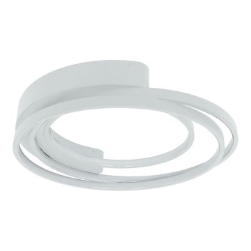 LED taklampa LED/30W/230V 3000/4000/6000K vit