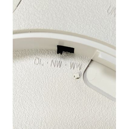 LED taklampa LED/32W/230V 3000/4000/6500K Ø 40 cm brun