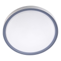 LED Taklampa LED/36W/230V Ø 40 cm vit/grå