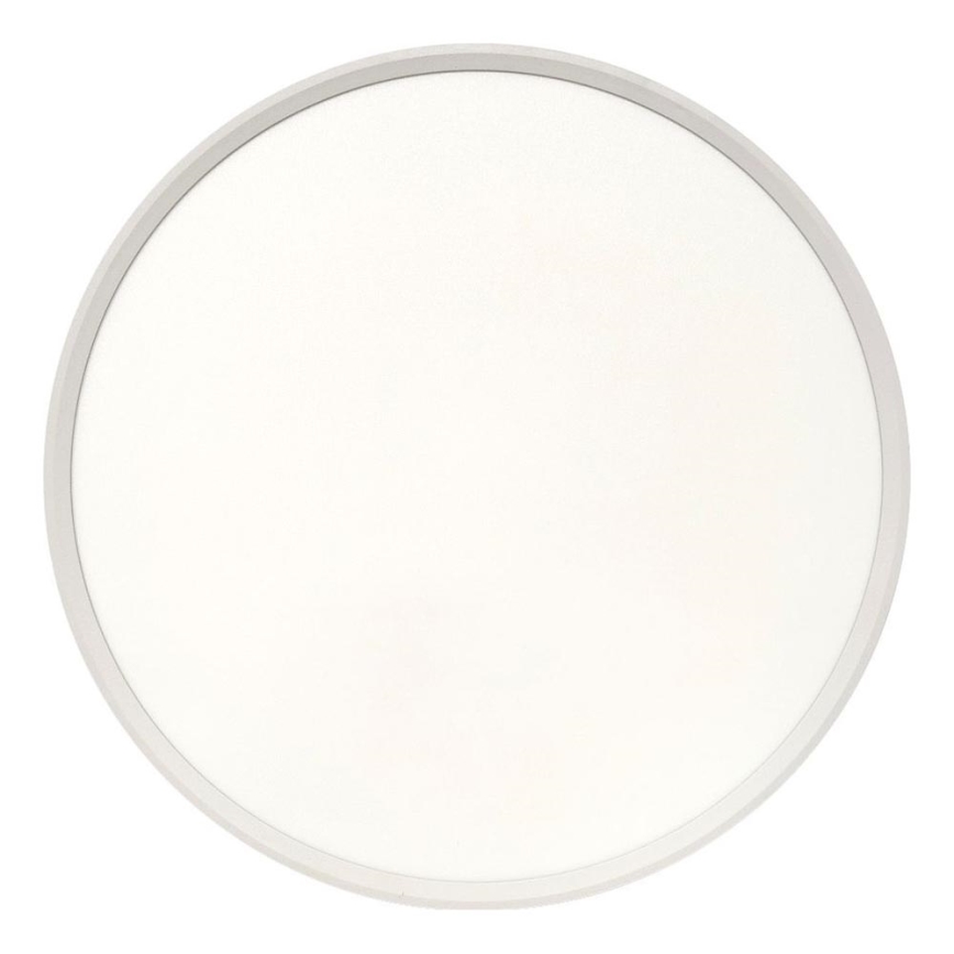 LED taklampa LED/40W/230V 3000/4000/6500K Ø 50 cm vit