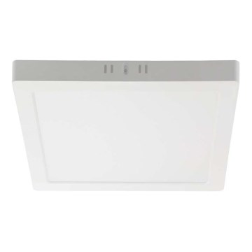 LED taklampa LED/6W/230V 3000K 12x12 cm vit